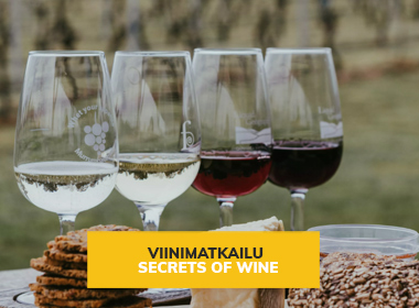 Viinin salaisuudet paljastuvat: Matka rypälelajikkeiden ja ruokaparien maailmassa